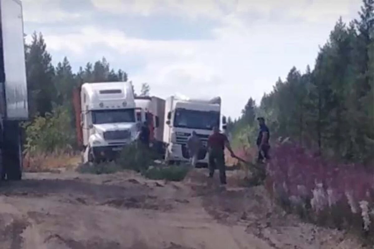    Жители села на севере Приморья пожаловались в Москву на плохую дорогу