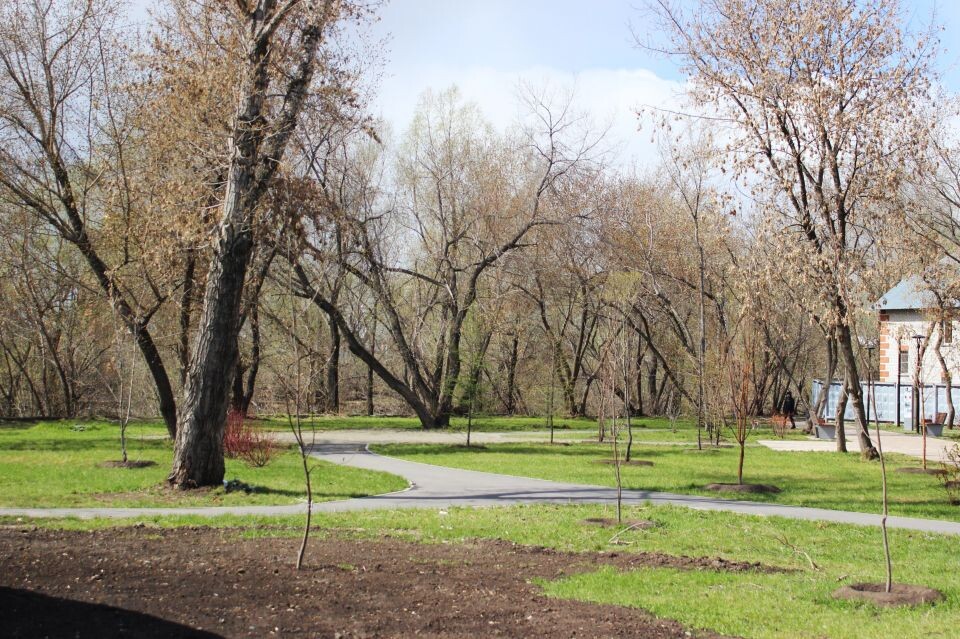    Сквер на улице Приречной в Барнауле. Апрель 2025 года. Источник: Евгения Кочеткова