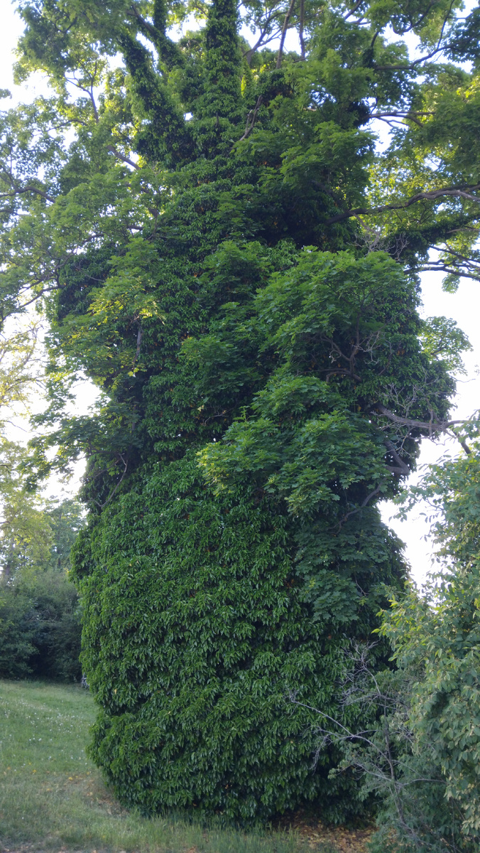 Личное фото от автора 