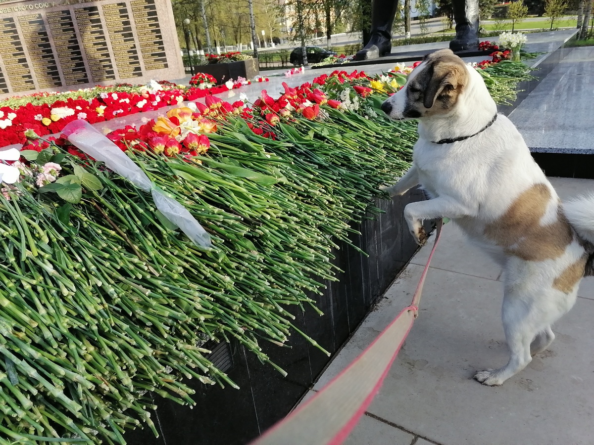 Фото автора