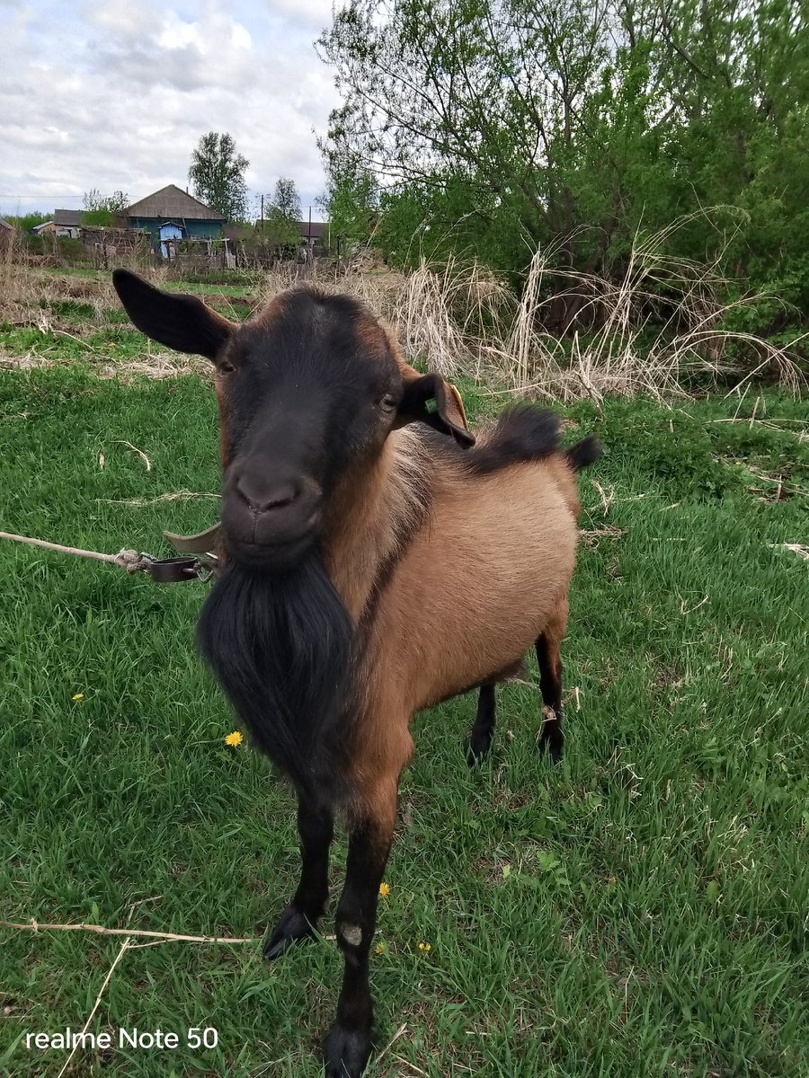 Май как всегда красавчик.