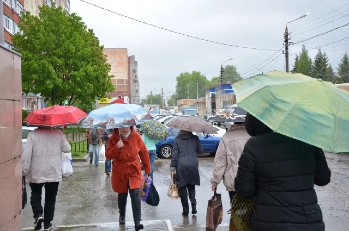    Дожди и грозы пройдут на Алтае днем 11 мая