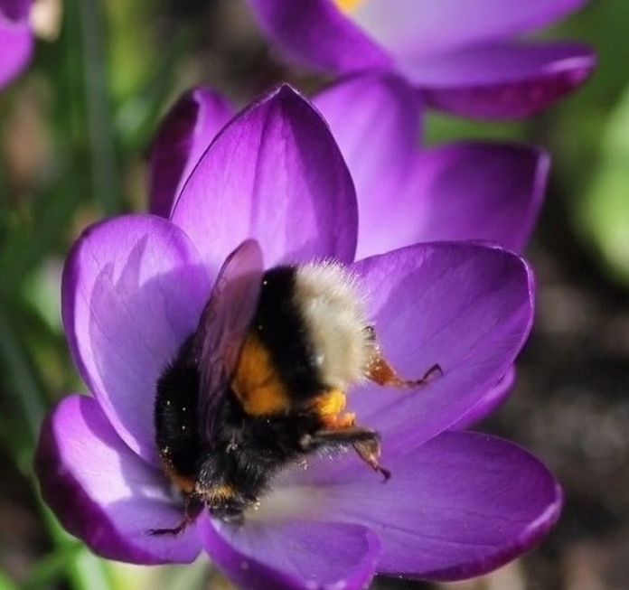 просто милые картинки из интернета сегодня, мне так захотелось ))