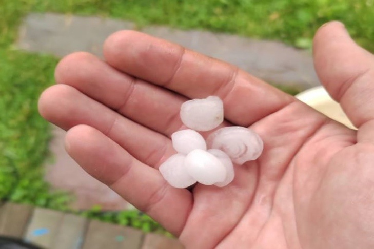    Фото из архива VN.ru