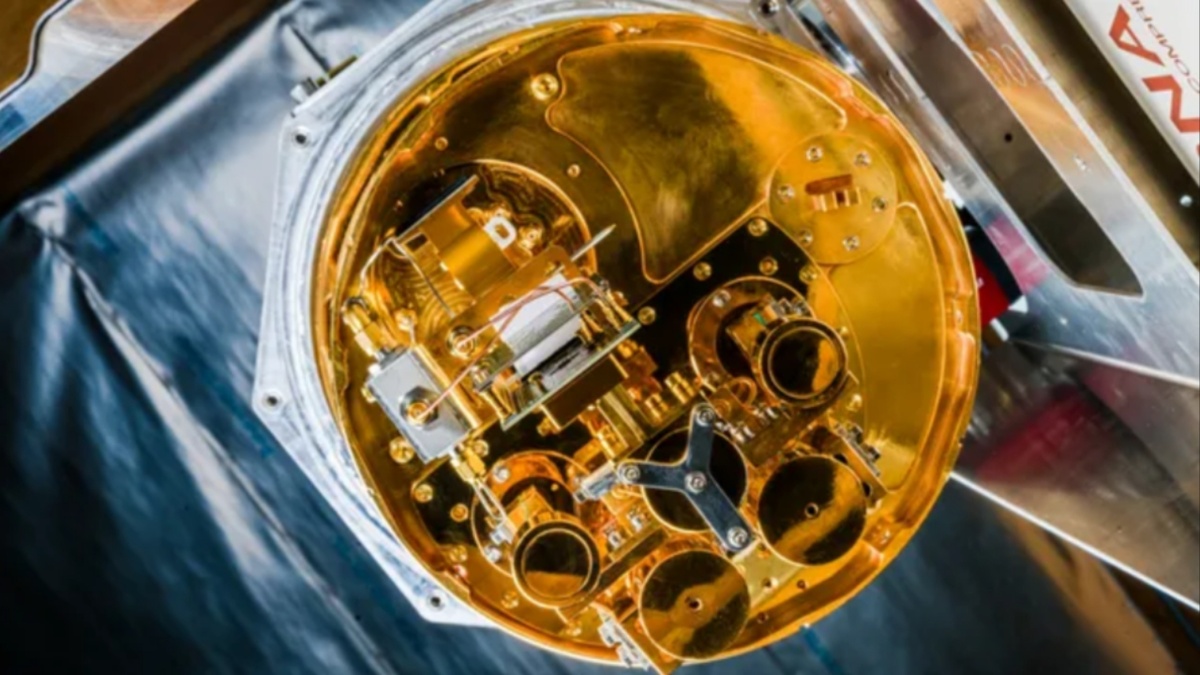 Авторские права на изображение принадлежат Фергал Филлипс (Fergal Phillips)