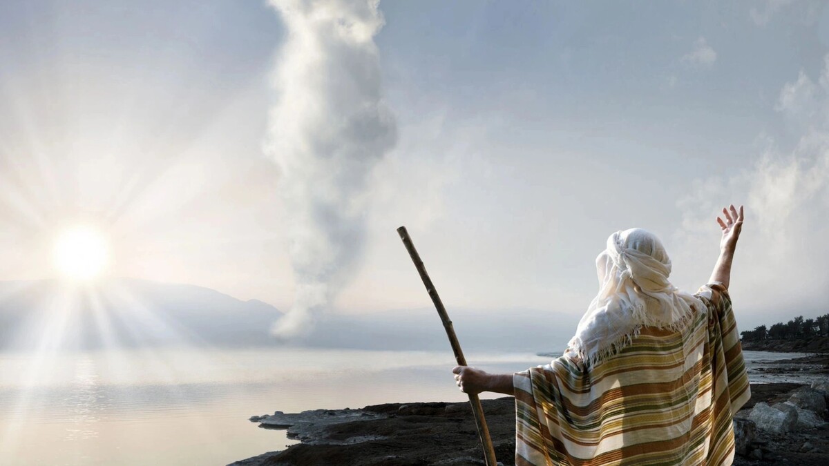    Фото: ArtMari/Shutterstock/Fotodom