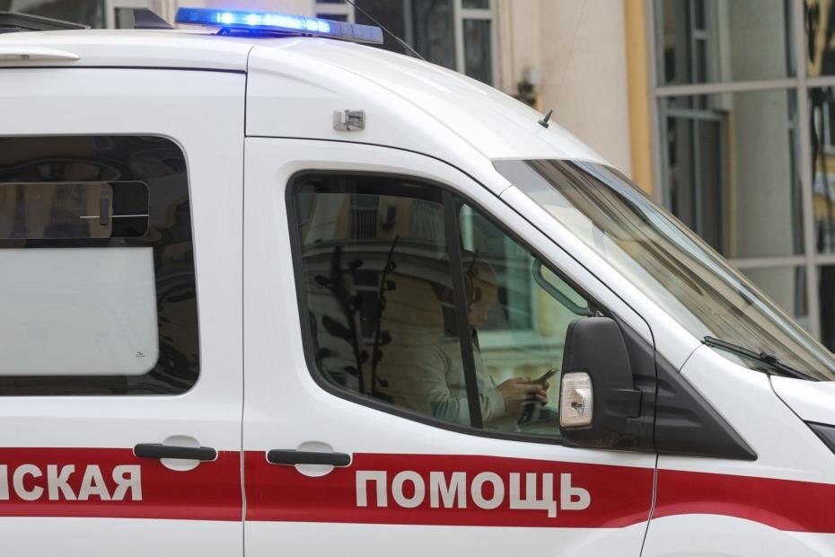    Наталья Шатохина/NEWS.ru