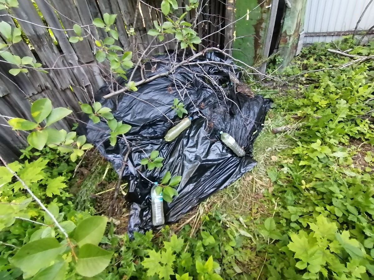 Это я в прошлом году укрыла уже осевшую кучу травы