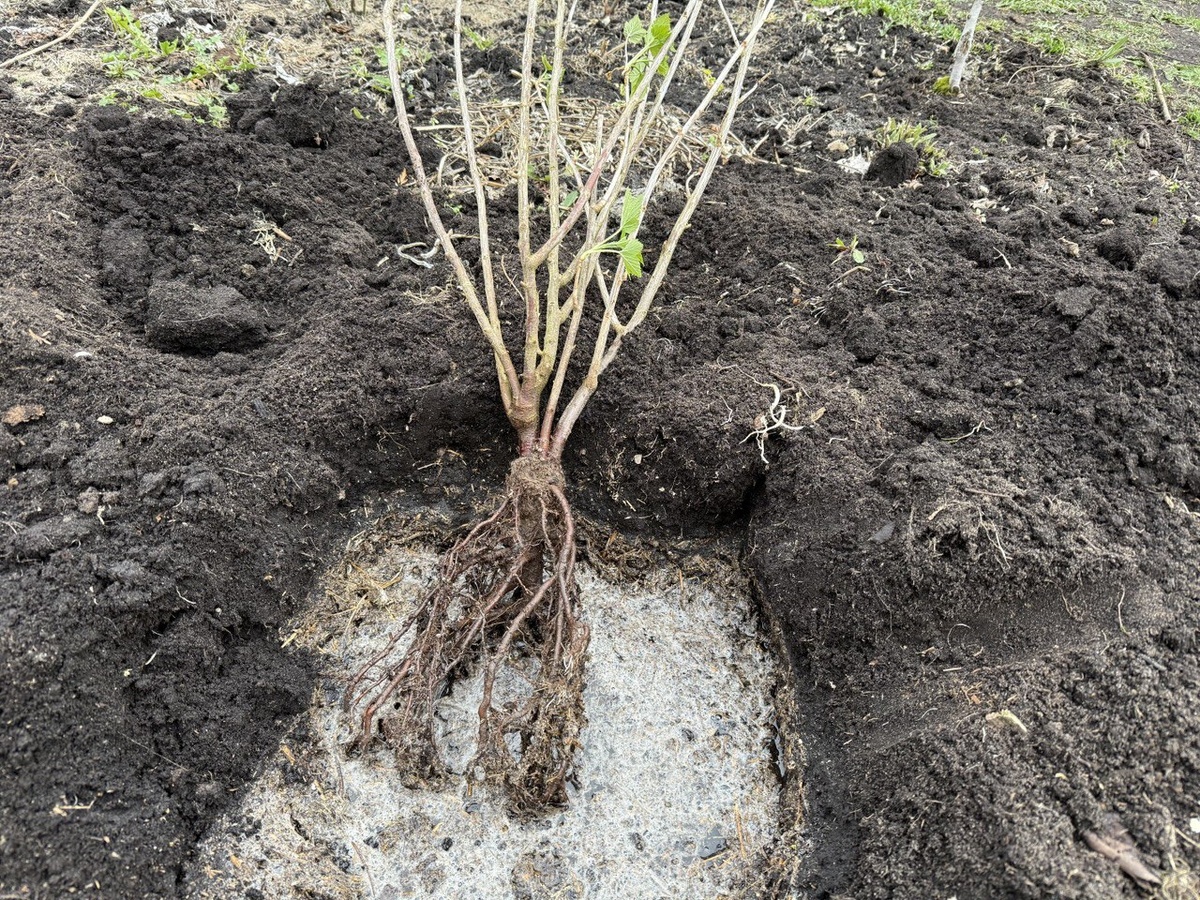 Фото автора канала Дом с кипарисами