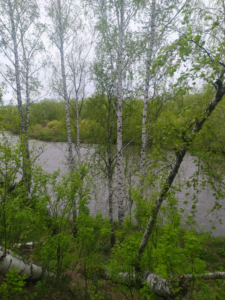 Фото автора. Река Миасс