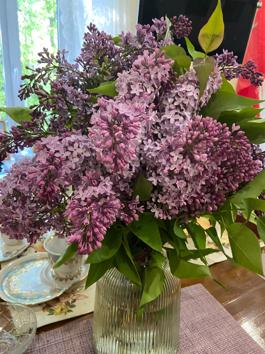 Вот такая красотень. 