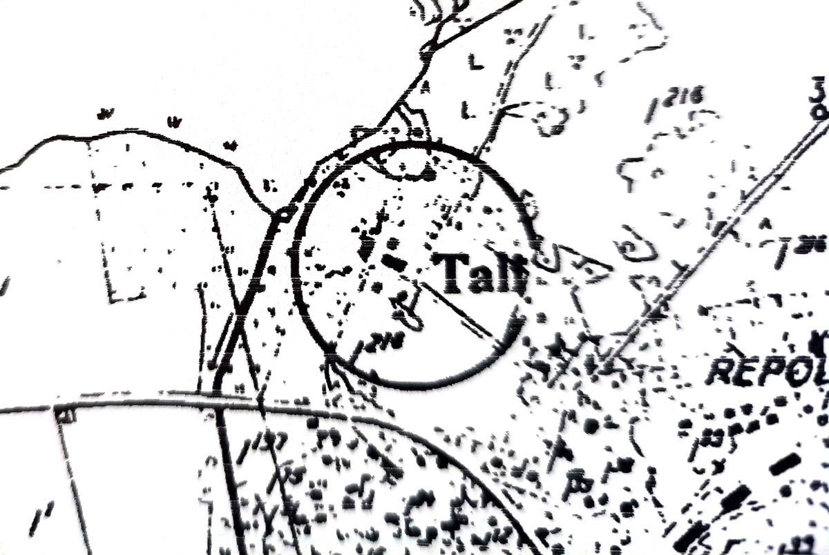 Старая карта усадьбы.