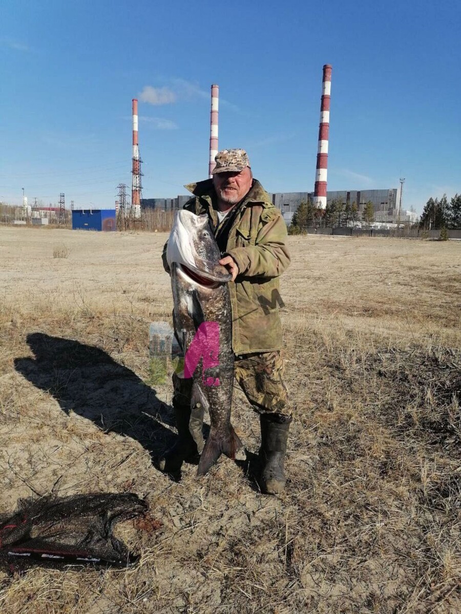     Источник: Сургут.Мегаполис