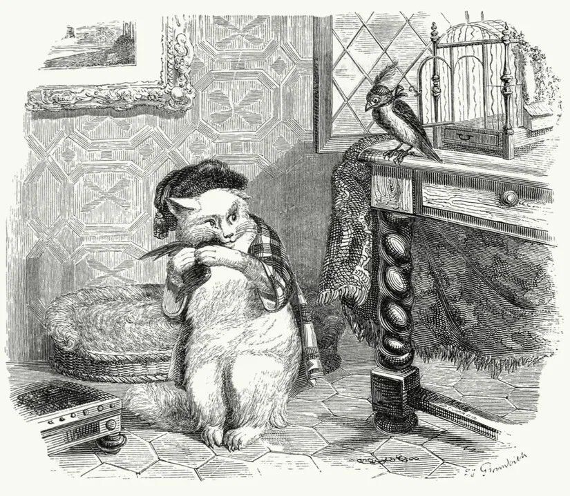 Картинка из открытых источников сети Интернет 