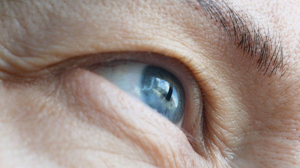    Фото: Shutterstock