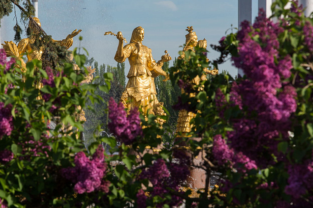    Фото: пресс-служба ВДНХ Александра Горохова