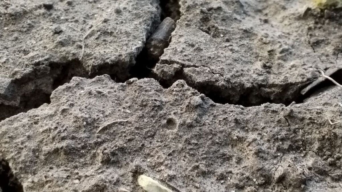    Фото: телеканал «Краснодар»