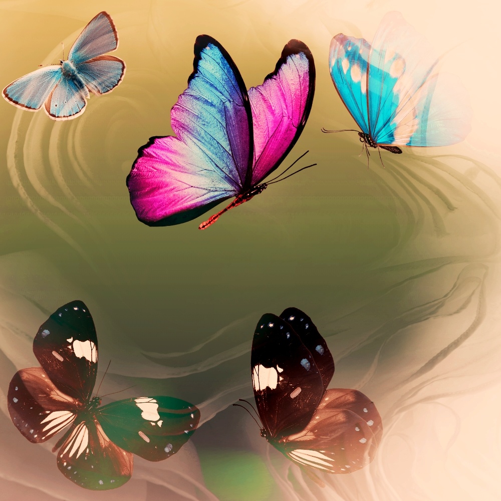 В жизни есть трудные моменты, уроки, а есть радостные, цветные, светлые. Фоторедактор