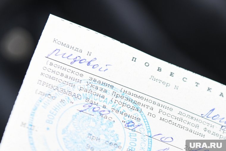 Пользователям предлагали воспользоваться браузерами Яндекс или Chromium GOST
Фото: Владимир Жабриков © URA.RU