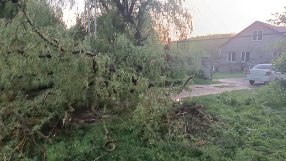 Фото: Официальный аккаунт администрации Предгорного МО