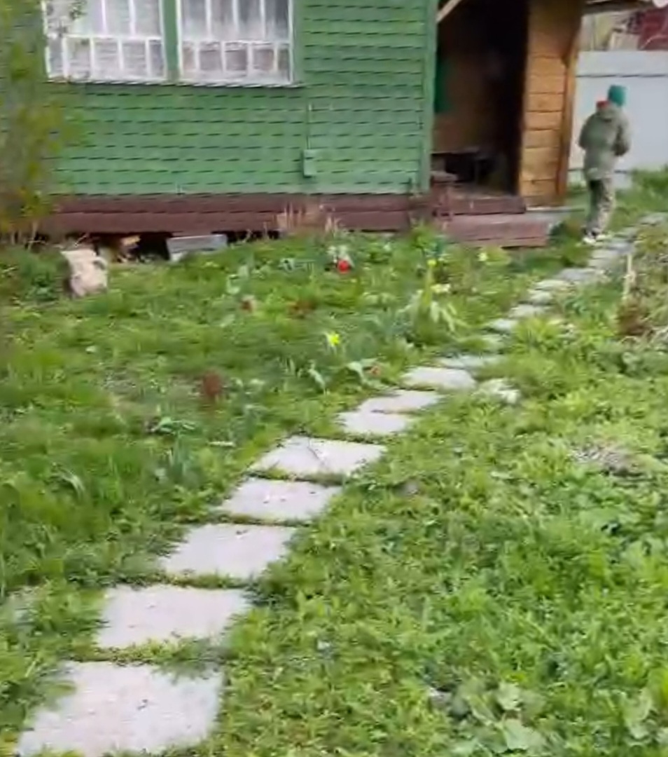 Вадюха обходит владения)