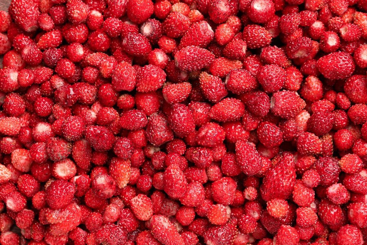    New Africa / Shutterstock / FOTODOM