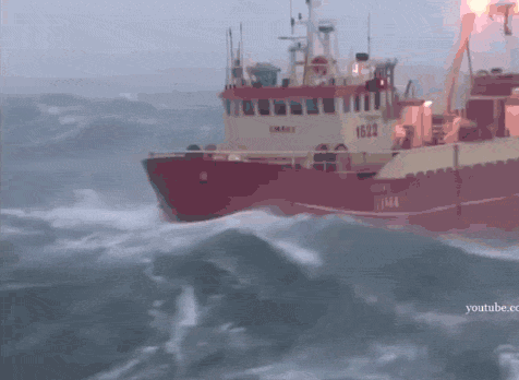 Из открытых истоников