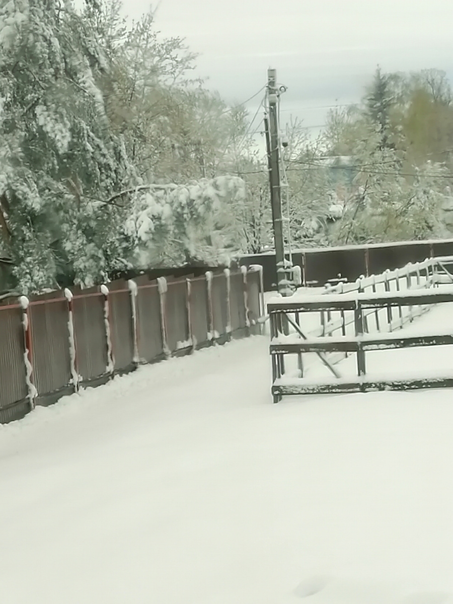 2 мая 2025 года