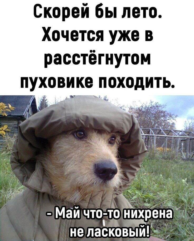 Картинка с просторов интернета, очень соответствует действительности) 