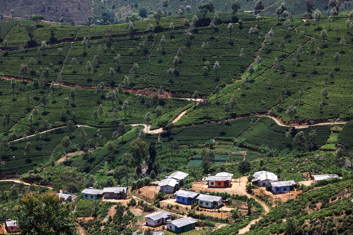     / Источник: © Harry Laub/imageBROKER.com/Global Look Press