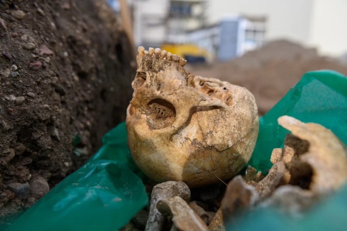    Поисковики Ямала нашли останки 92 расстрелянных женщин и детей