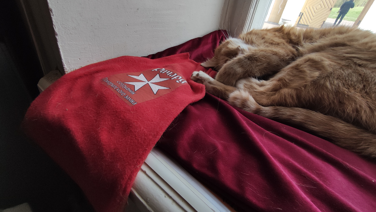 Ночной охранник отдыхает