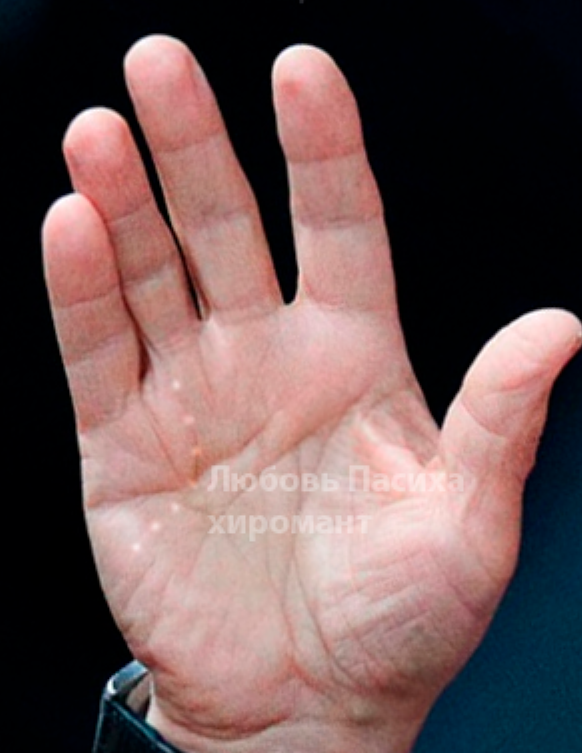 Линия Солнца на руке Владимира Владимировича Путина