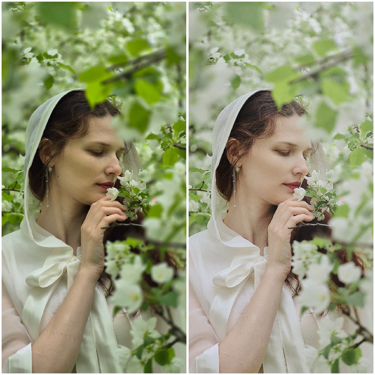 это все телефон