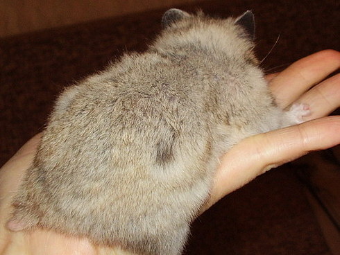 фото из интернета ДЛЯ ПРИМЕРА 