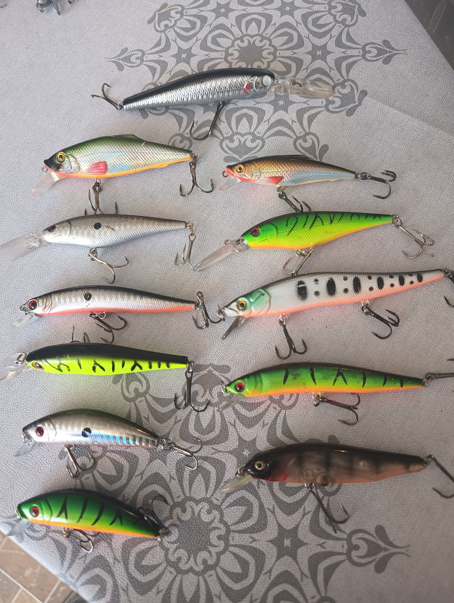 Среди Цинов нашего Ди  затесались и  два бинькэ ))))Двое сверху)) Плавники алые)))NOSTALGY по светлому прошлому)))