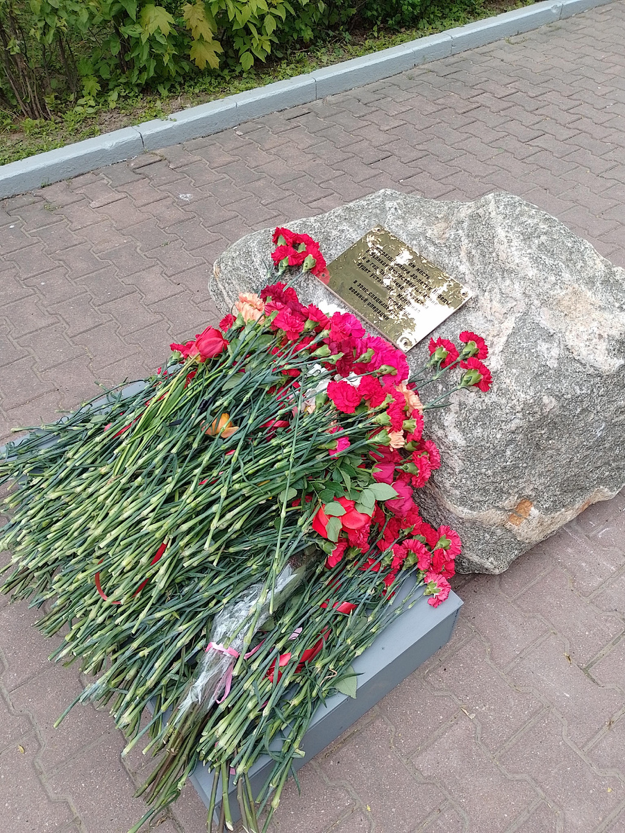 Фото автора.