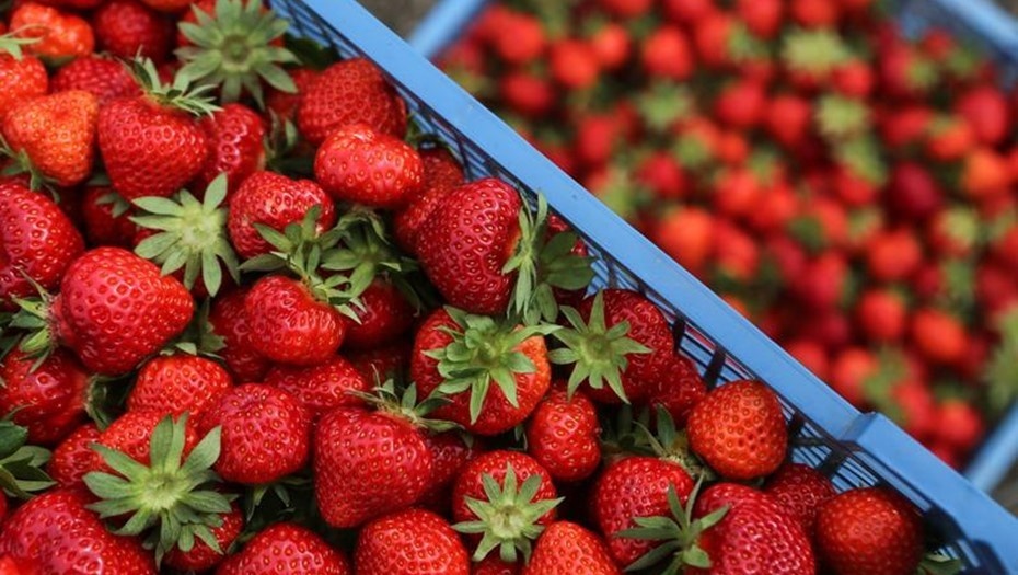    Автор фото: Абрамов Денис/ДП