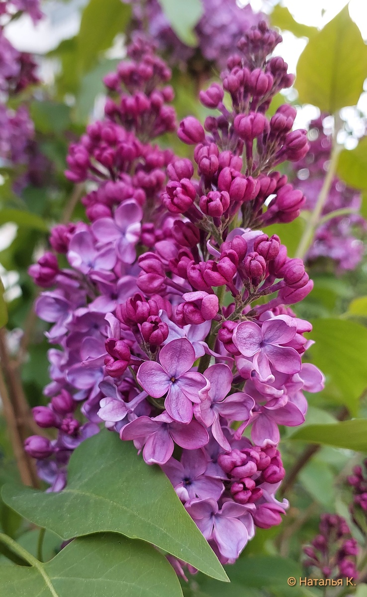 Фото автора канала