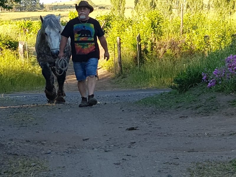 Мануэль Морага Гутьеррес – владелец винодельни Cacique Maravilla, Чили