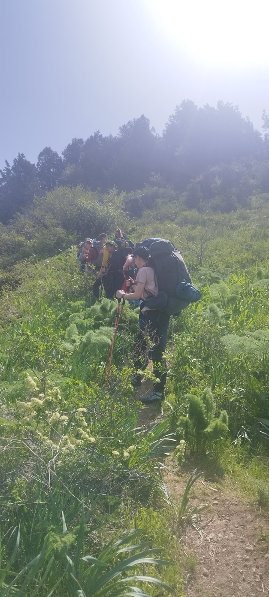 Начинаем подъем по "безопасной дороге".