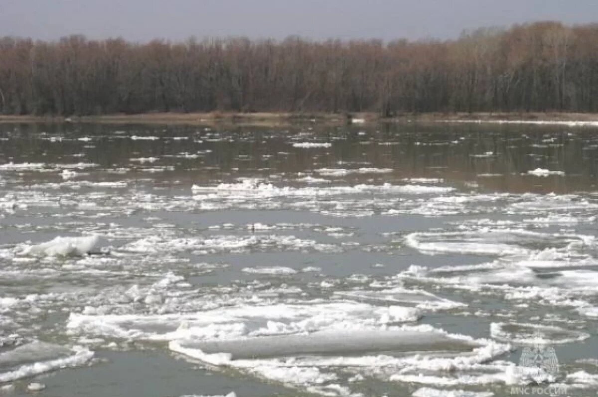    Протяженность ледохода около 53 км.