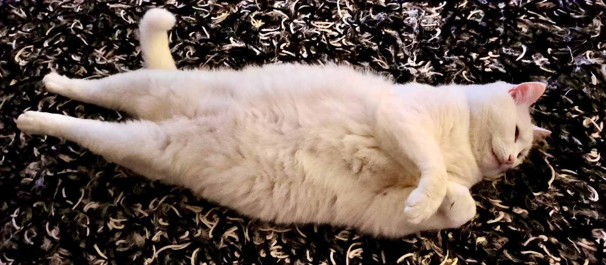 Наелся перчаток, все у него отлично