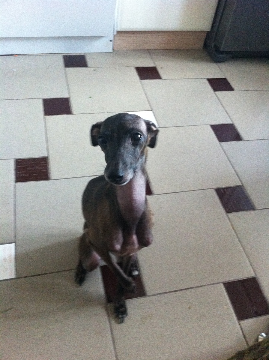 Дорога Климентия ко мне была долгой и тяжёлой. Но мы встретились. Мой малыш все свои 18 лет оставался для меня таким малышом.