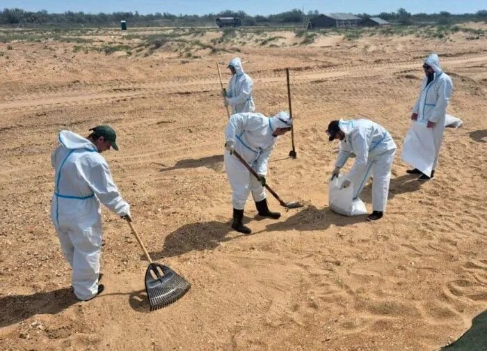 Фото: оперативный штаб Краснодарского края