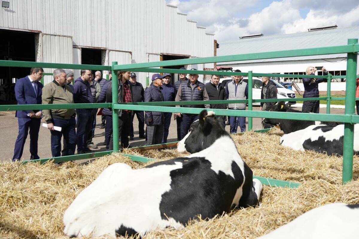 Фото: t.me/galimovatatarstan