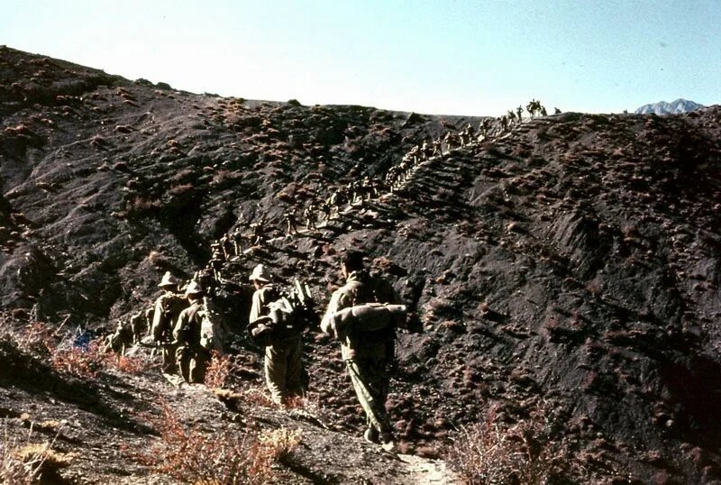 Из открытых источников.