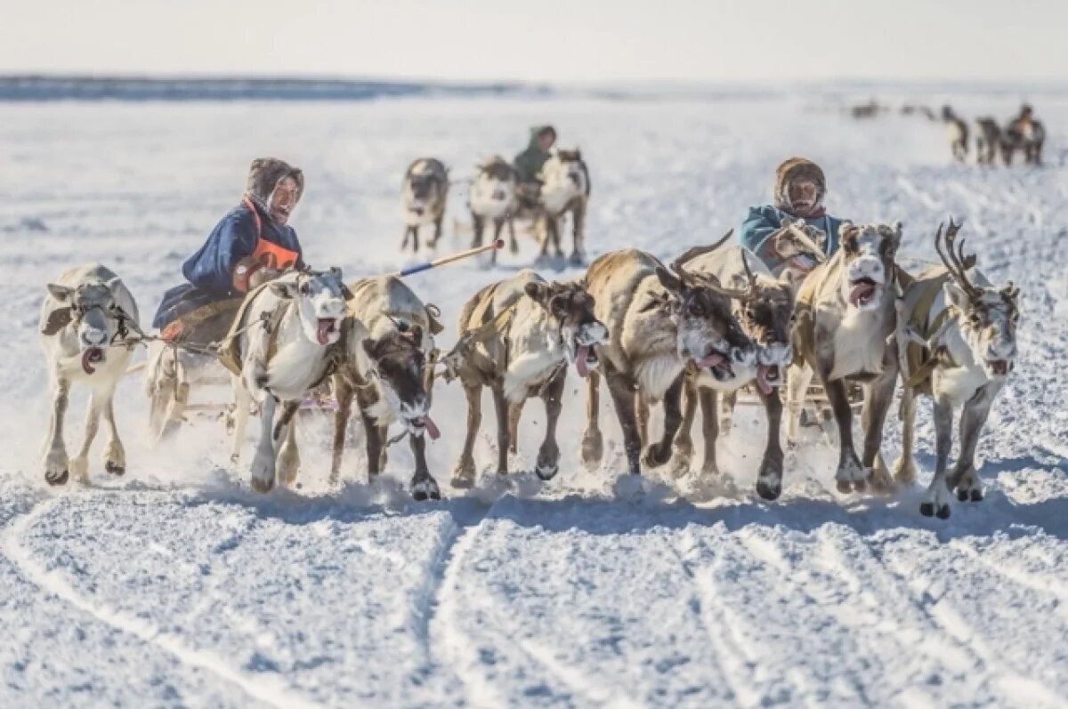    В РФ утвердили концепцию развития коренных народов