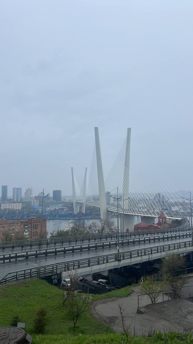 фото автора. Вид на Золотой мост