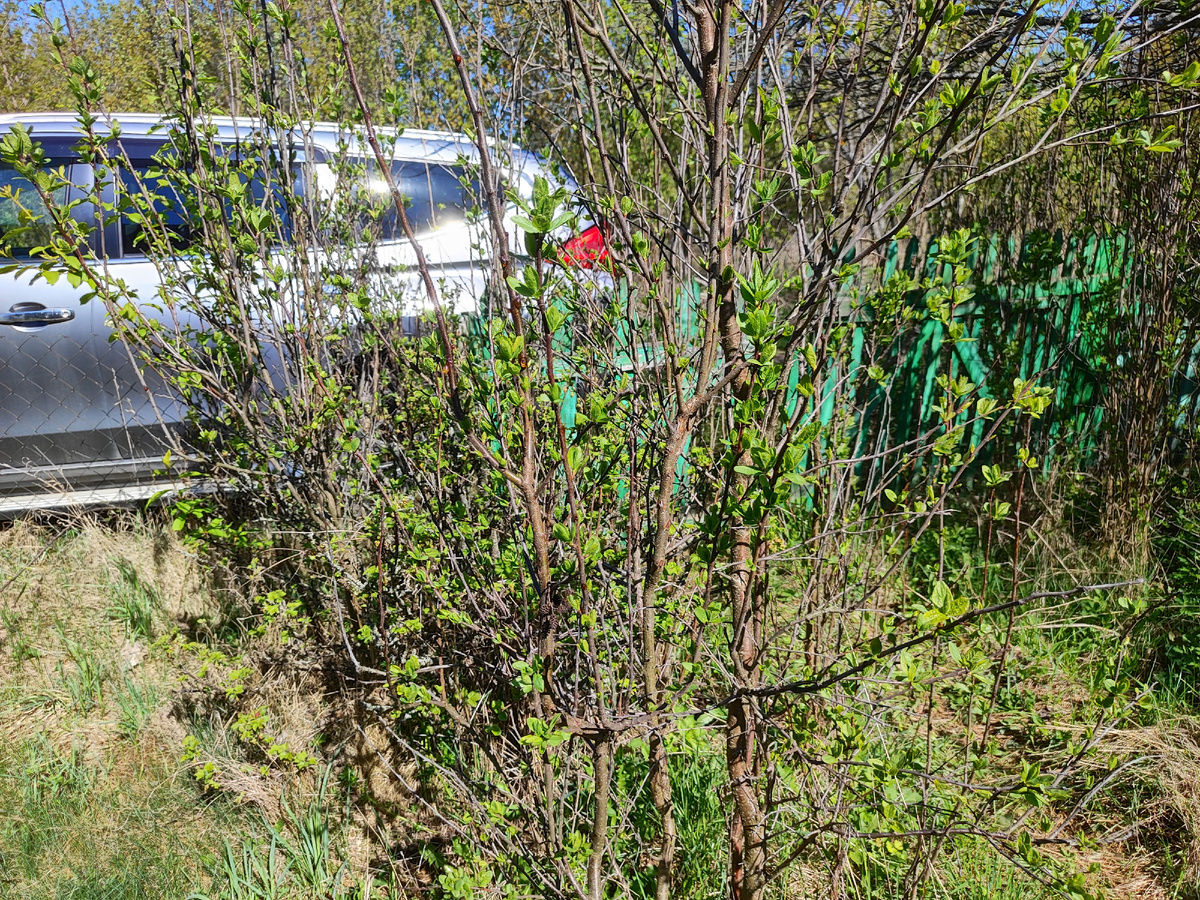 вход и заезд